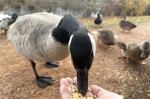 Waterloo Is Biting the Hand That Built Its Name